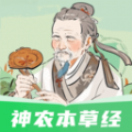 神农本草经掌上通 神农本草经掌上通