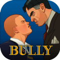 Bully Bully