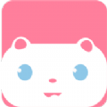 次元猫 次元猫