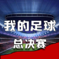 我的足球总决赛游戏 我的足球总决赛游戏