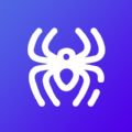 Spider Spider