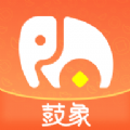 鼓象 鼓象