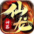 十年仙龙神器官方版 十年仙龙神器官方版
