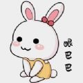 多态兔兔 多态兔兔