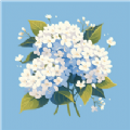 绣球花锦盒 绣球花锦盒