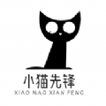 小猫先锋 小猫先锋
