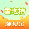 雪泡桔 雪泡桔