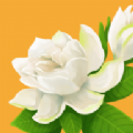 花开树下游戏 花开树下游戏