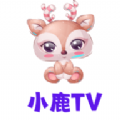 小鹿TV 小鹿TV