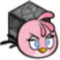 我的鸟指导版 我的鸟指导版