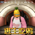 菠萝头吃鸡 菠萝头吃鸡