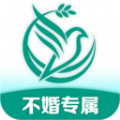 孤鸽 孤鸽