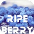 RipeBerry RipeBerry