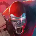 Apes Apes