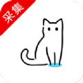 猫影视论坛 猫影视论坛