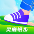 灵鹿悦步 灵鹿悦步