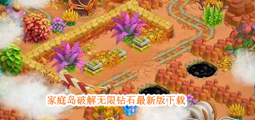 家庭岛破解无限钻石