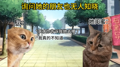 猫meme搞怪冒险中文版截图1