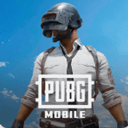 PUBG国际服完整版