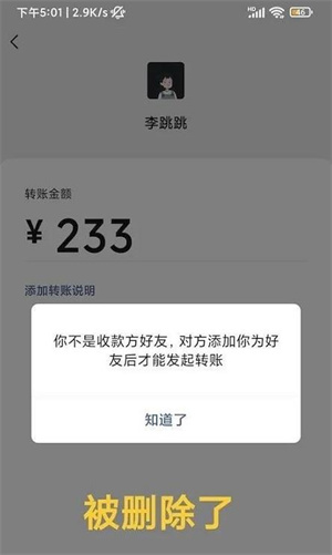 真实好友汉化版截图1