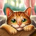 猫救援故事游戏 猫救援故事游戏