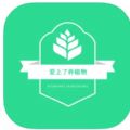 爱上了养植物 爱上了养植物