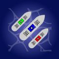 海战迷你军团舰队指挥官游戏 海战迷你军团舰队指挥官游戏