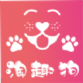 淘趣狗app 淘趣狗app