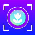 万物识图高手 万物识图高手