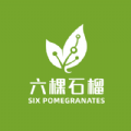 六棵石榴 六棵石榴