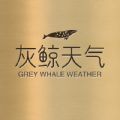 灰鲸天气 灰鲸天气