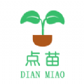 点苗报价 点苗报价