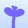 苗苗剧场 苗苗剧场