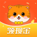 胖小喵 胖小喵