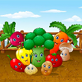 Vegetable Vegetable
