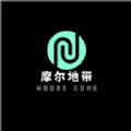 摩尔地带 摩尔地带