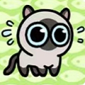 抖音冒险猫 抖音冒险猫