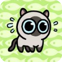 冒险猫 冒险猫