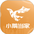 小鹅当家 小鹅当家