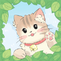 猫咪小陪伴 猫咪小陪伴