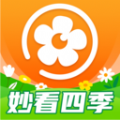 妙看四季 妙看四季