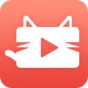 猫咪交友 猫咪交友