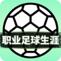 职业足球生涯游戏 职业足球生涯游戏