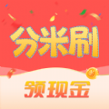 分米刷 分米刷
