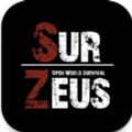 SurZeus游戏 SurZeus游戏