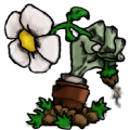 植物大战僵尸核版 植物大战僵尸核版
