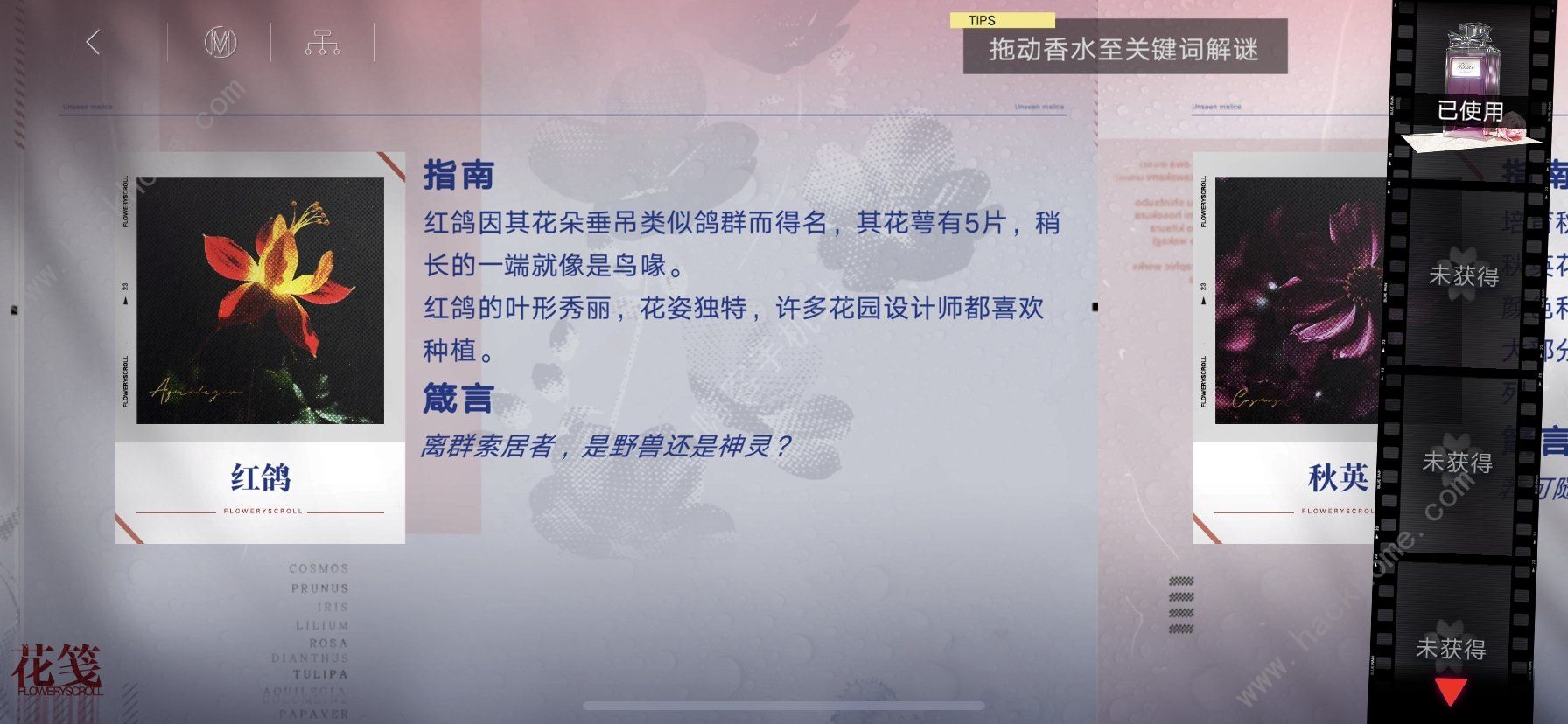 无期迷途刹雨活动攻略大全 刹雨活动玩法奖励一览[多图]图片6
